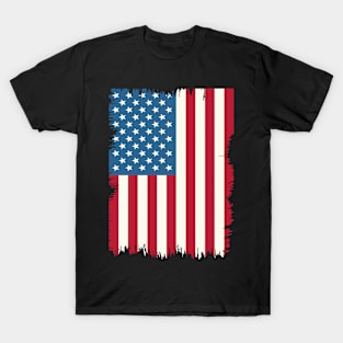 American Flag USA Patriotic 4th Of July T-Shirt